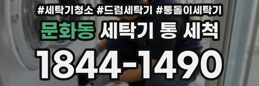 문화동 세탁기 통 세척