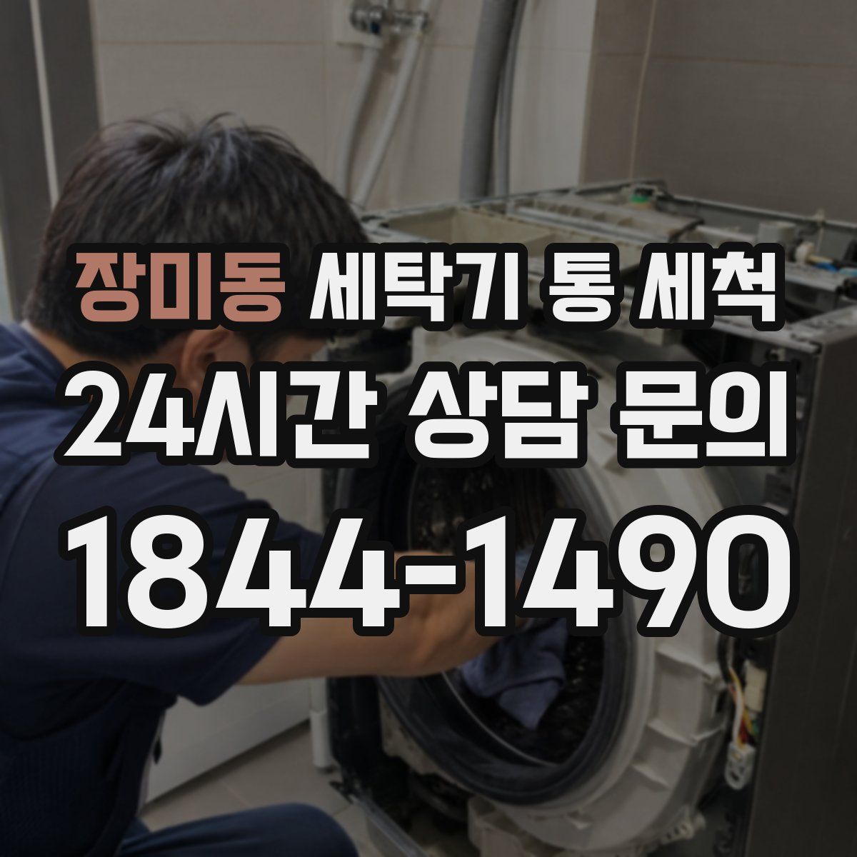 장미동 세탁기 통 세척