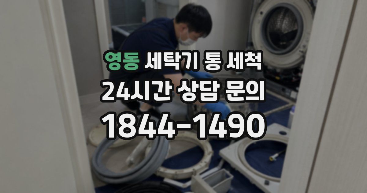영동 세탁기 통 세척