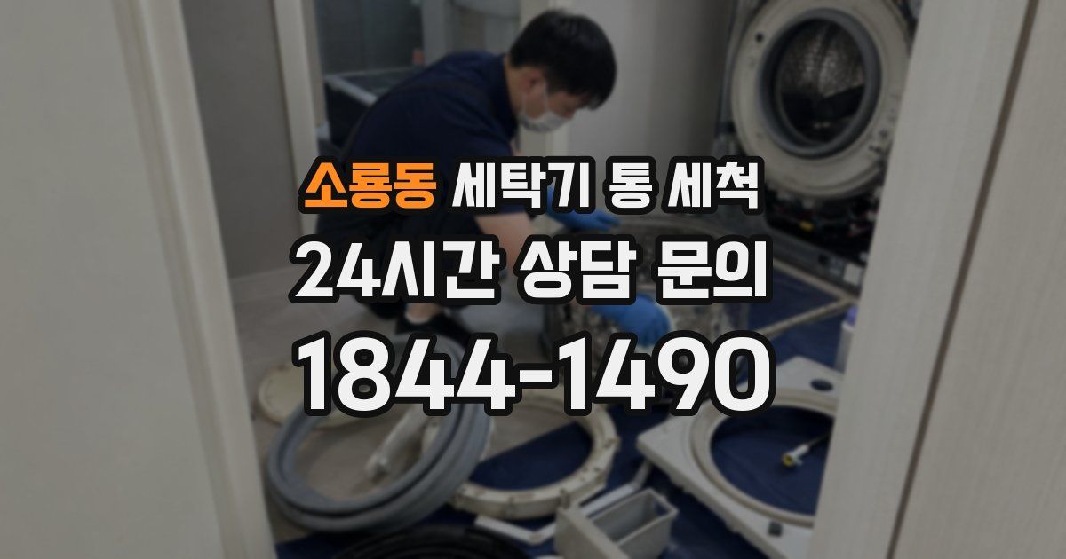 소룡동 세탁기 통 세척