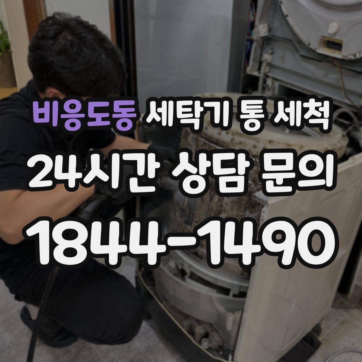 비응도동 세탁기 통 세척