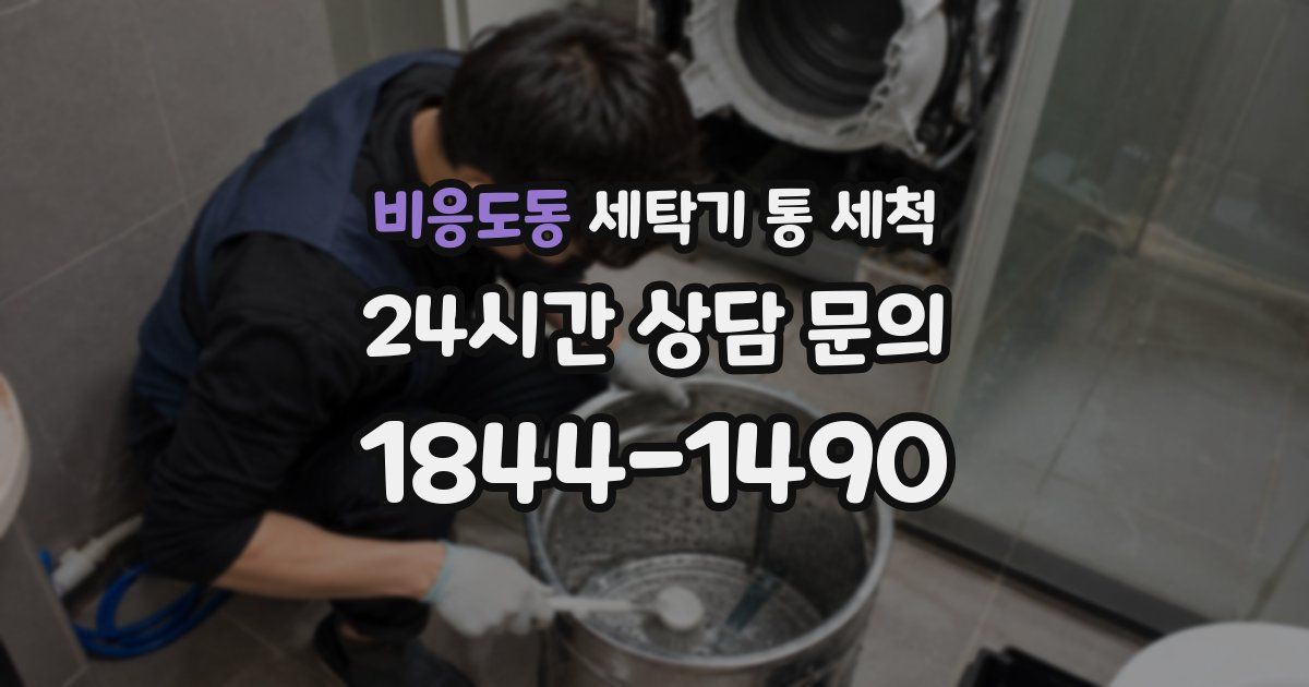 비응도동 세탁기 통 세척