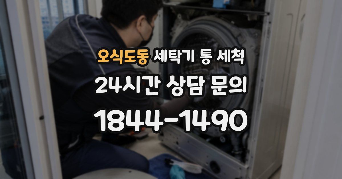오식도동 세탁기 통 세척