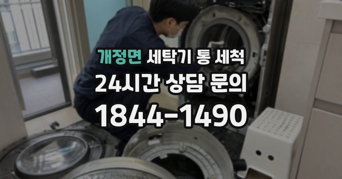 개정면 세탁기 통 세척
