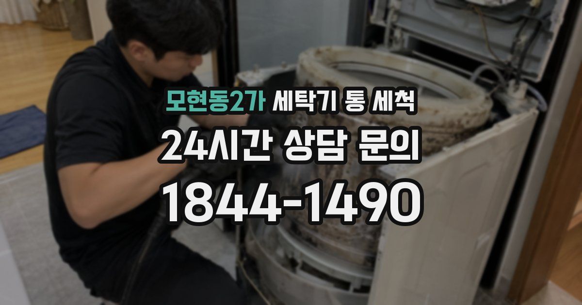 모현동2가 세탁기 통 세척