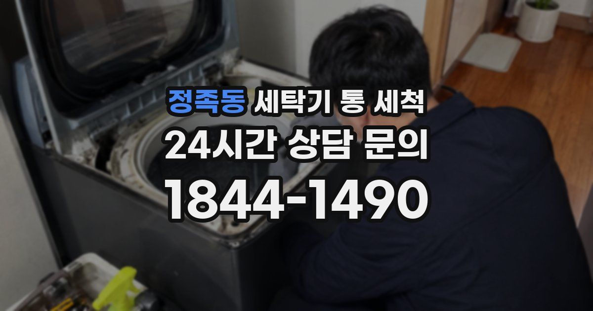 정족동 세탁기 통 세척