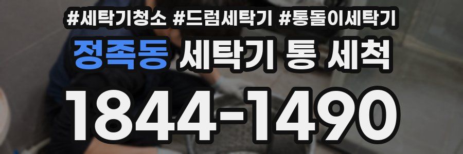 정족동 세탁기 통 세척
