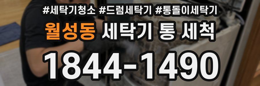 월성동 세탁기 통 세척
