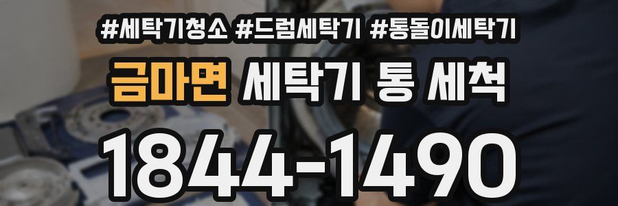 금마면 세탁기 통 세척