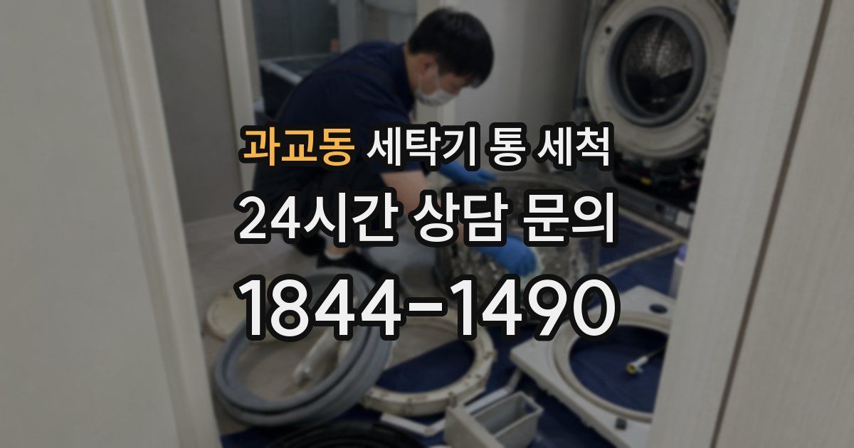 과교동 세탁기 통 세척