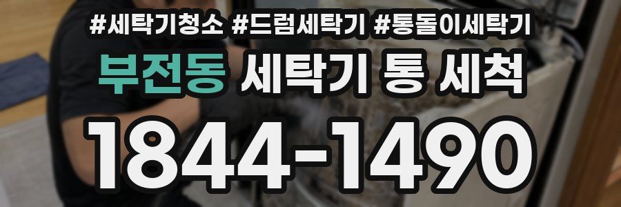 부전동 세탁기 통 세척
