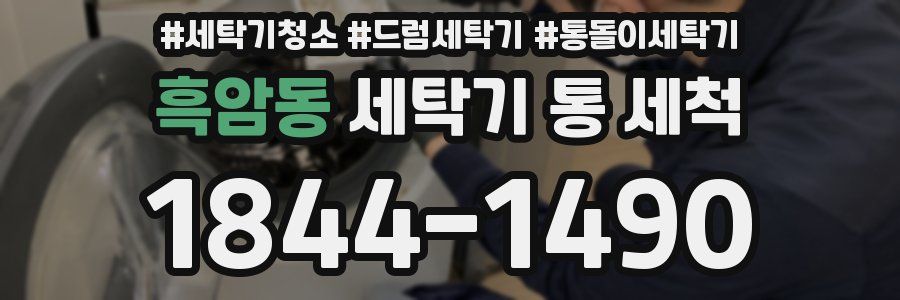 흑암동 세탁기 통 세척