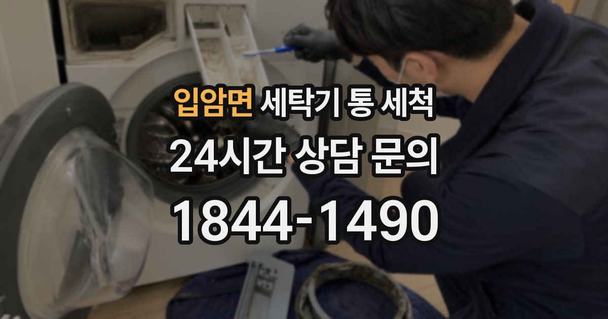 입암면 세탁기 통 세척
