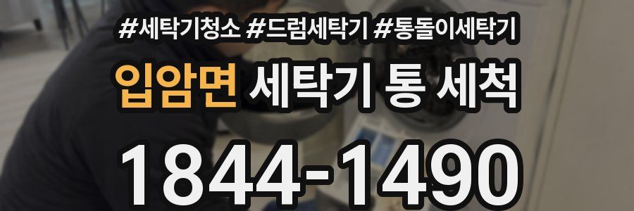 입암면 세탁기 통 세척