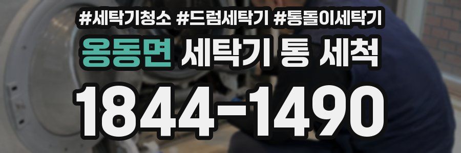 옹동면 세탁기 통 세척