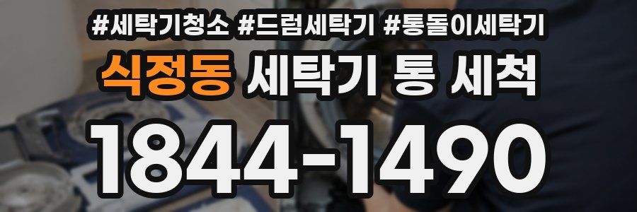 식정동 세탁기 통 세척