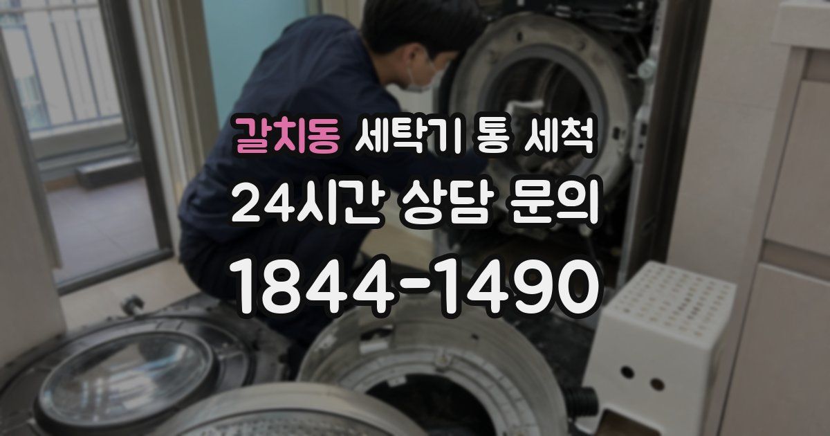 갈치동 세탁기 통 세척