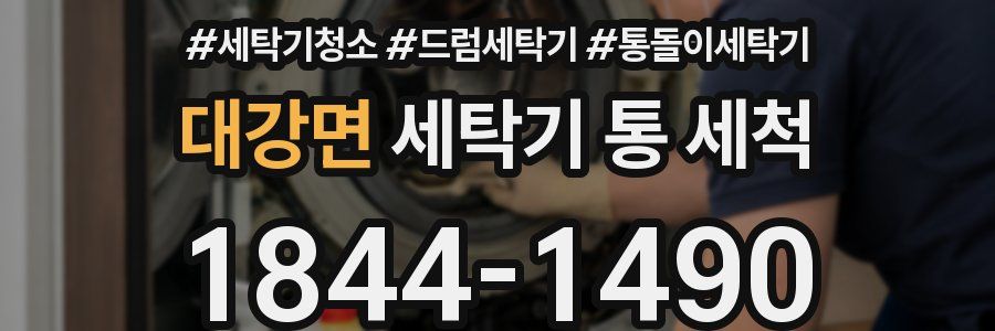 대강면 세탁기 통 세척