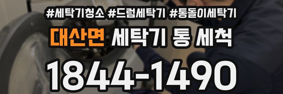 대산면 세탁기 통 세척