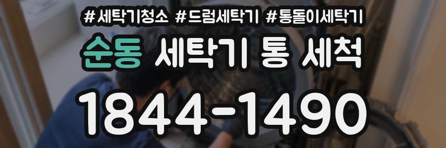 순동 세탁기 통 세척