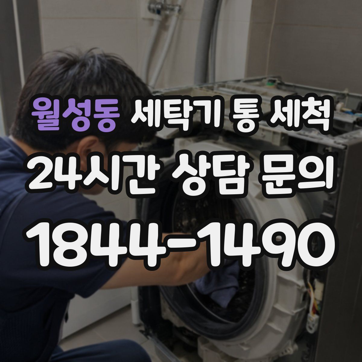 월성동 세탁기 통 세척