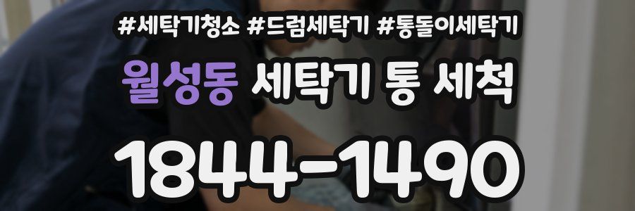 월성동 세탁기 통 세척