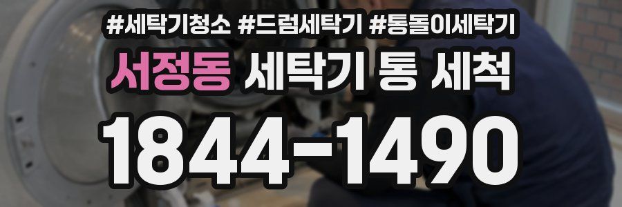 서정동 세탁기 통 세척