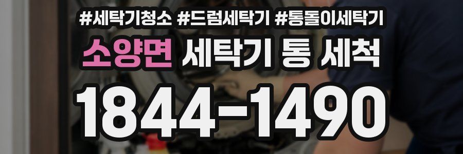 소양면 세탁기 통 세척