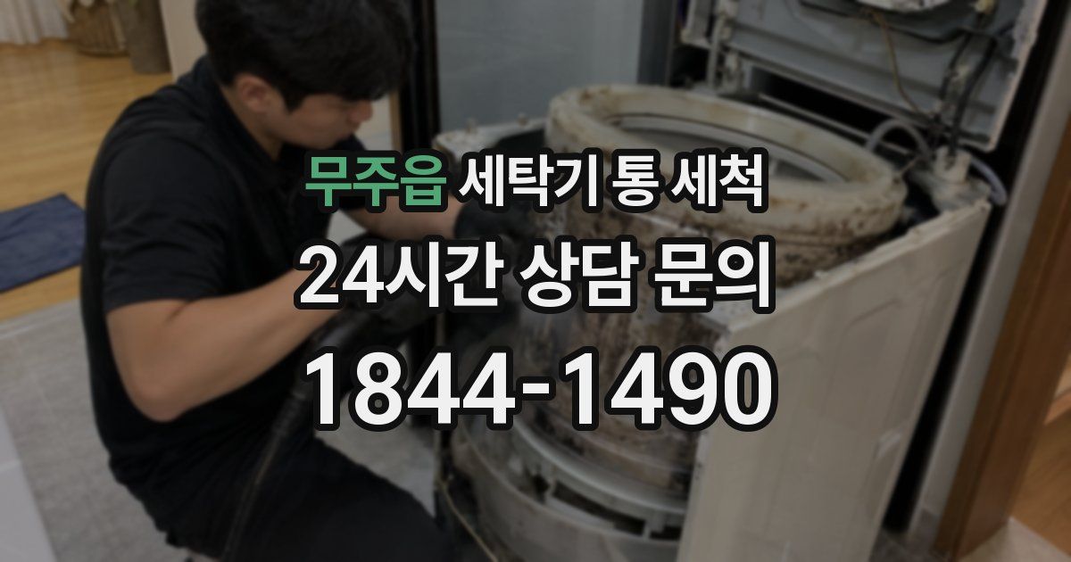 무주읍 세탁기 통 세척