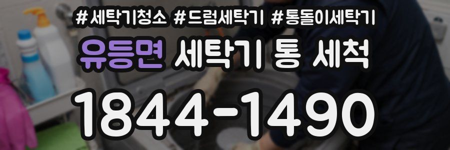 유등면 세탁기 통 세척