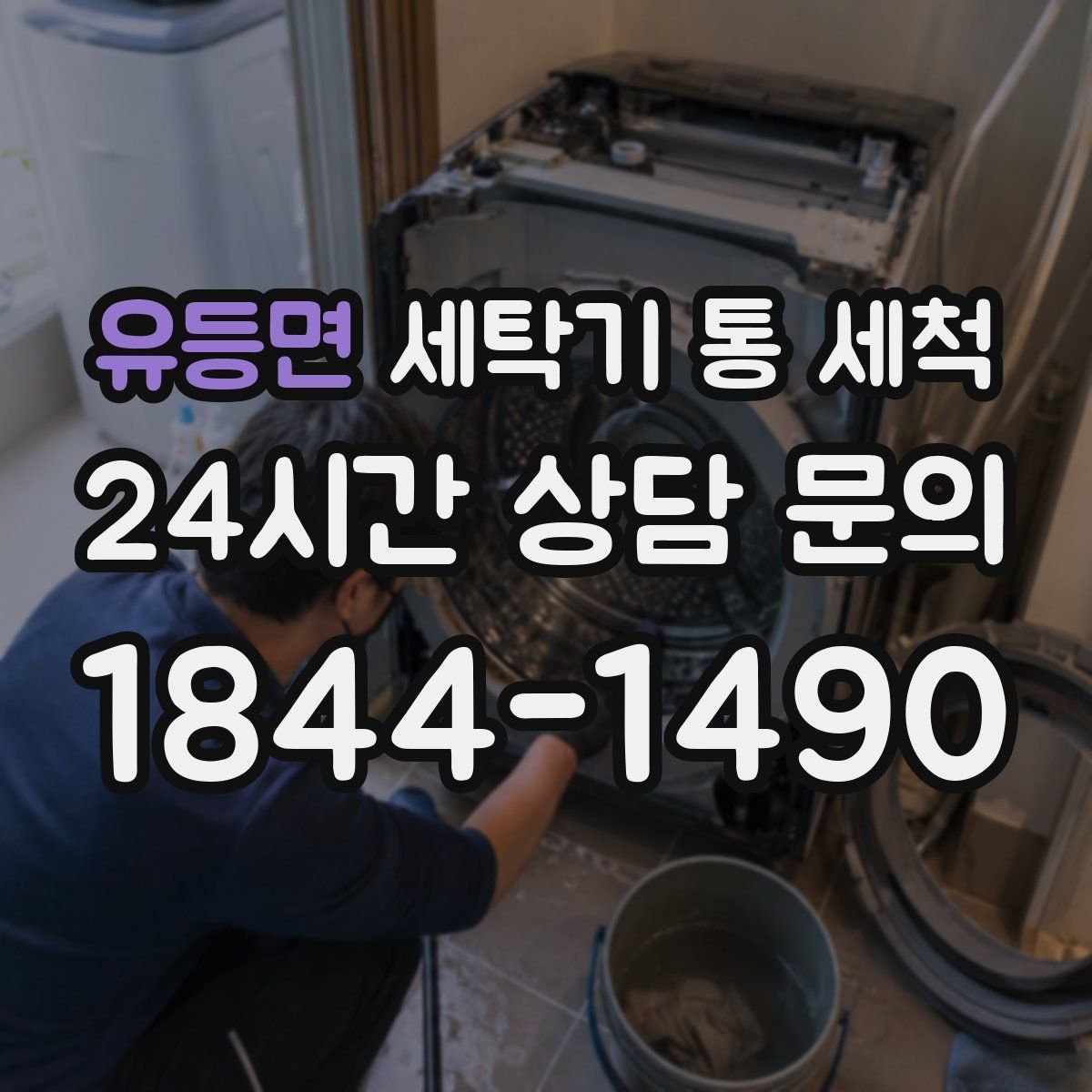 유등면 세탁기 통 세척