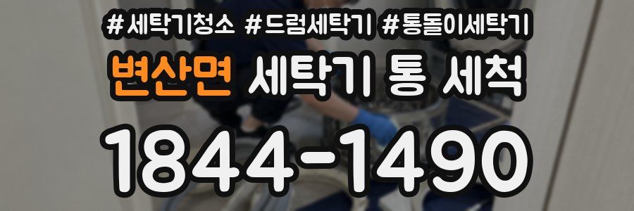 변산면 세탁기 통 세척