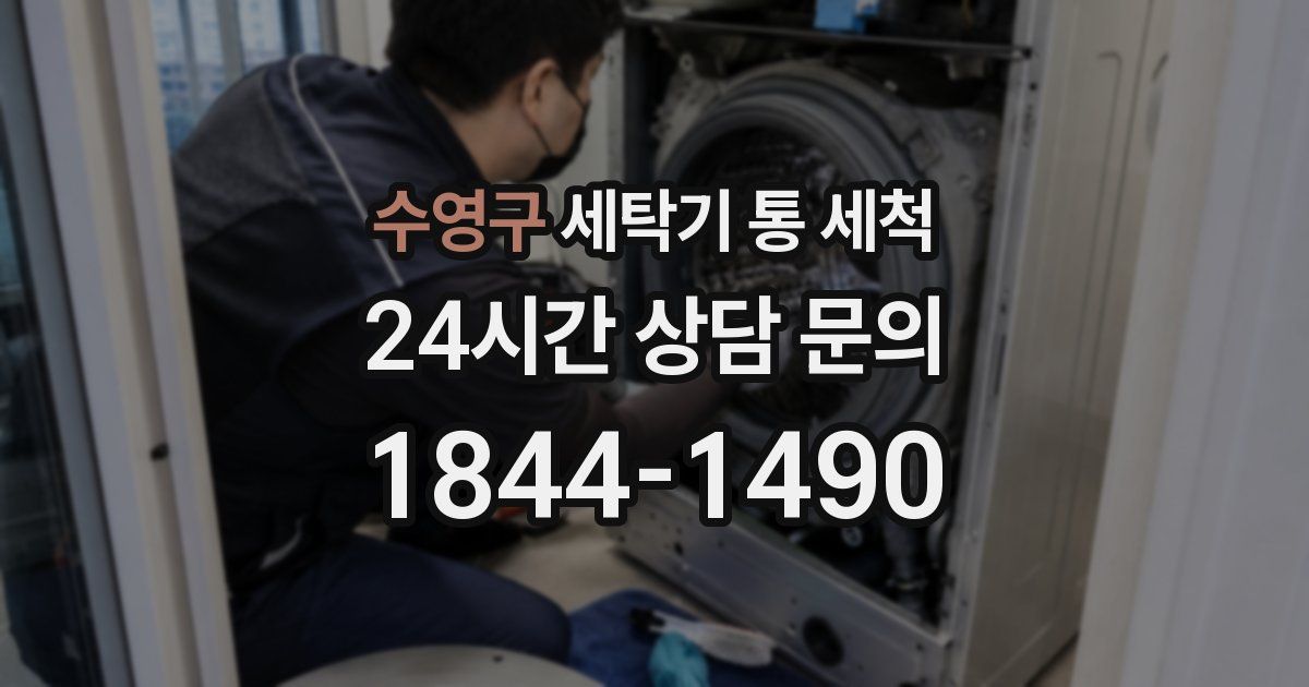 수영구 세탁기 통 세척