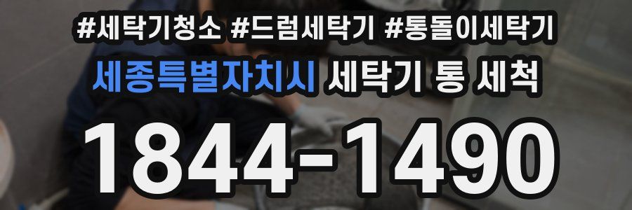 세종특별자치시 세탁기 통 세척