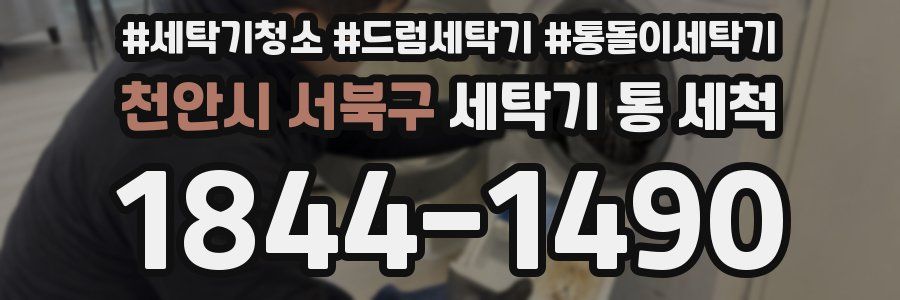 천안시 서북구 세탁기 통 세척