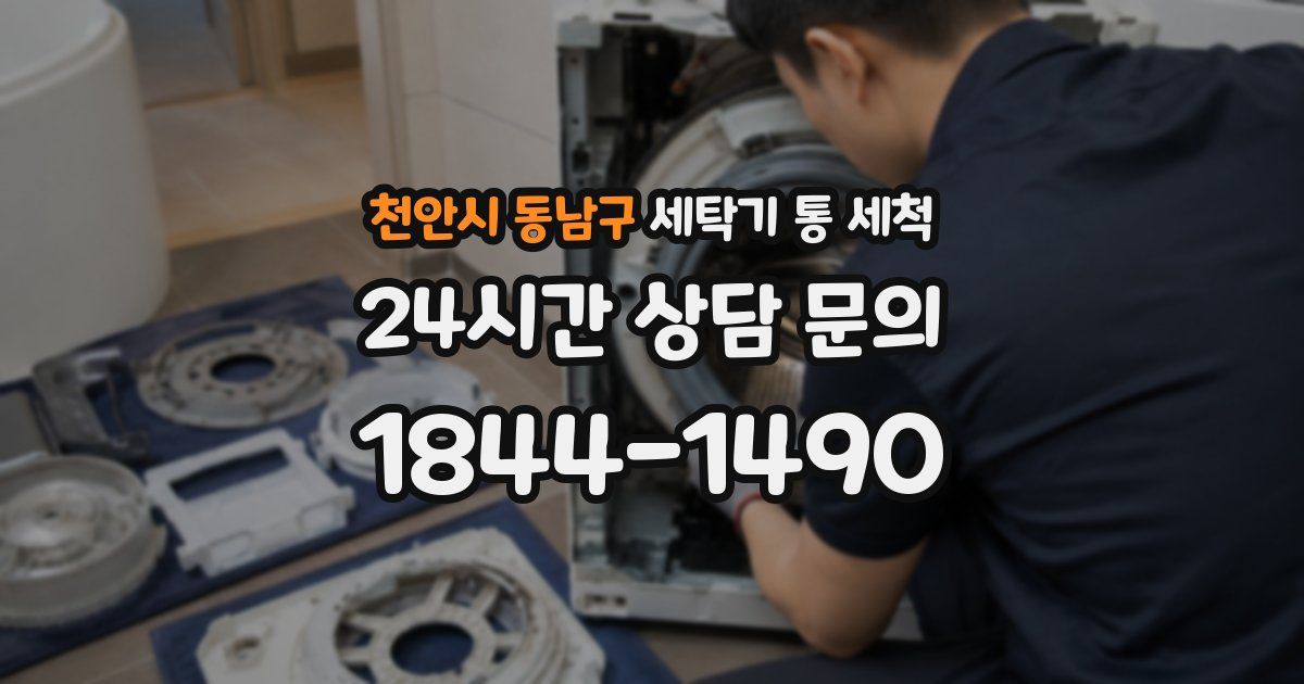 천안시 동남구 세탁기 통 세척