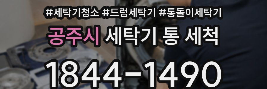 공주시 세탁기 통 세척