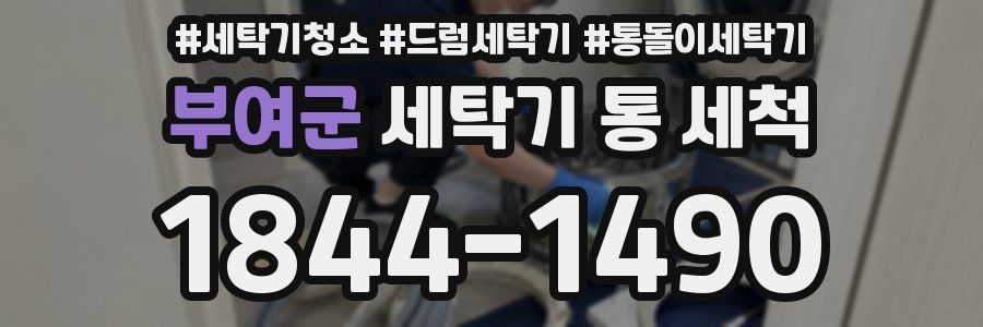 부여군 세탁기 통 세척