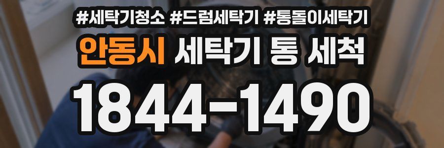 안동시 세탁기 통 세척