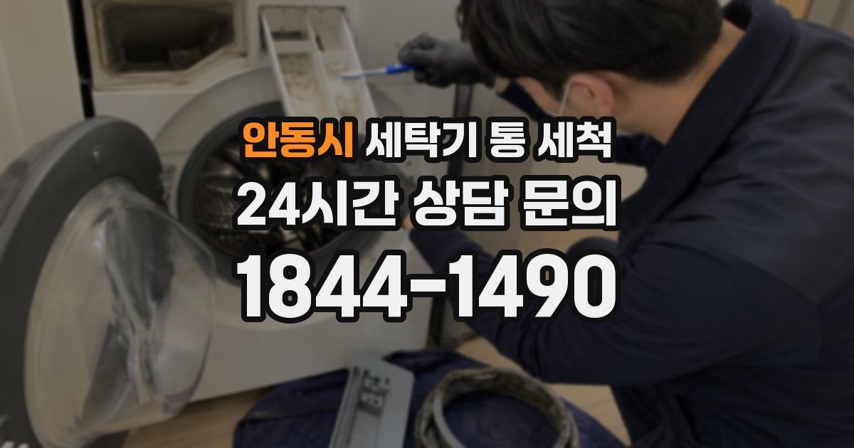 안동시 세탁기 통 세척