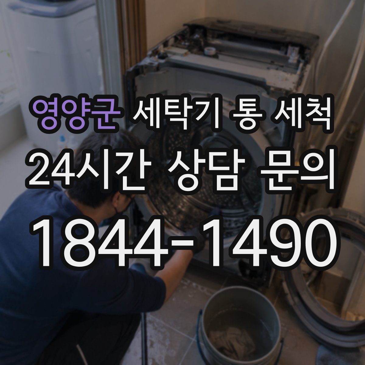 영양군 세탁기 통 세척