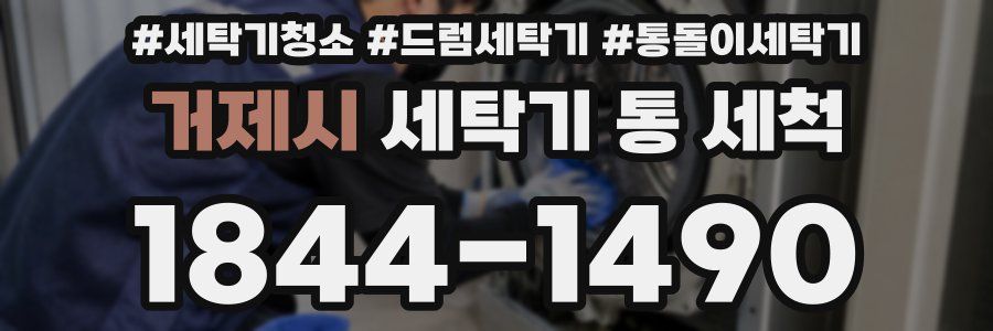 거제시 세탁기 통 세척