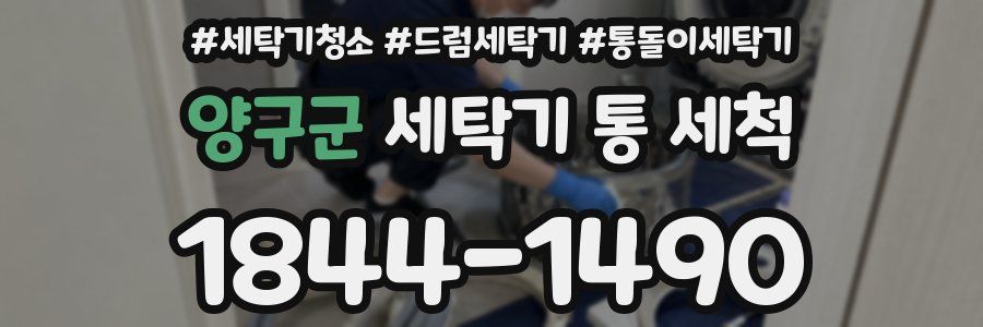 양구군 세탁기 통 세척