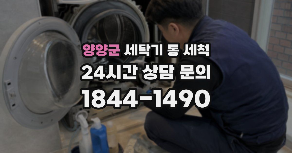 양양군 세탁기 통 세척