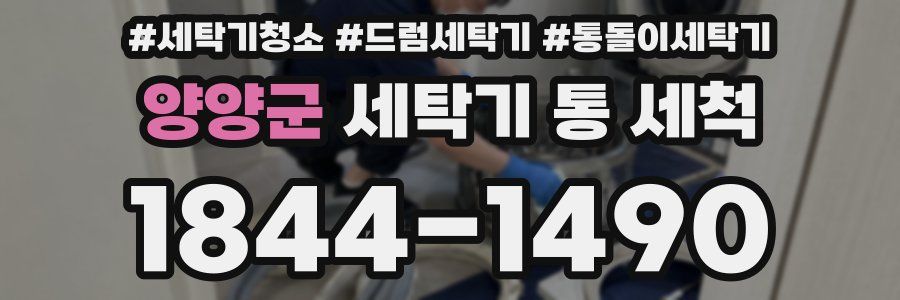 양양군 세탁기 통 세척