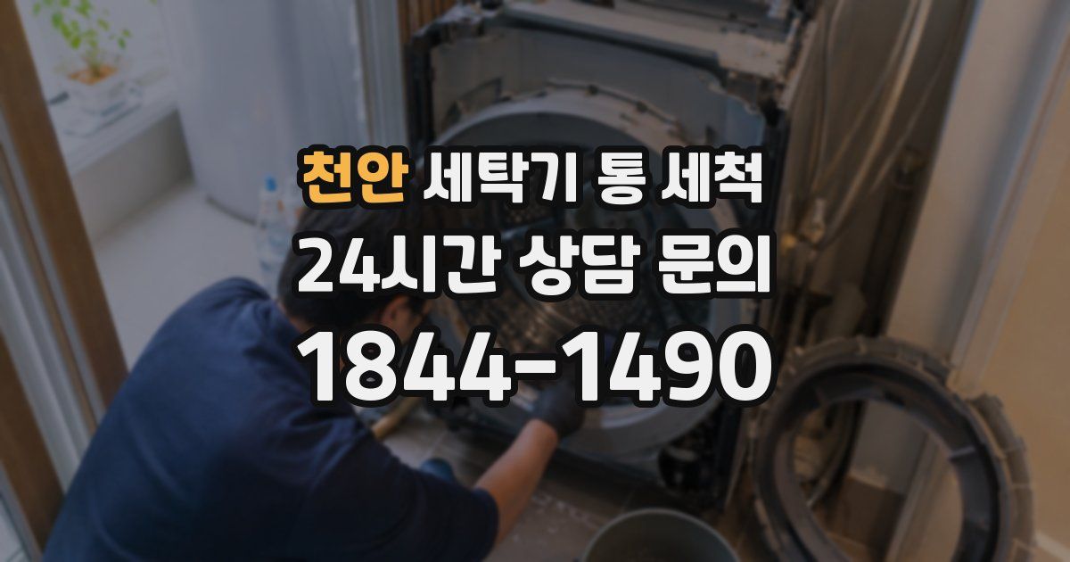 천안 세탁기 통 세척