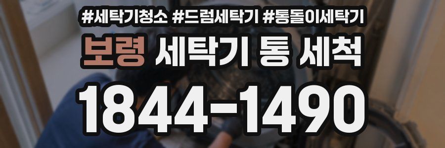 보령 세탁기 통 세척