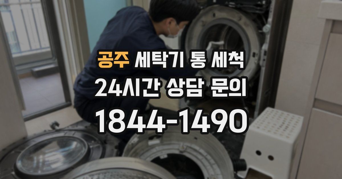 공주 세탁기 통 세척