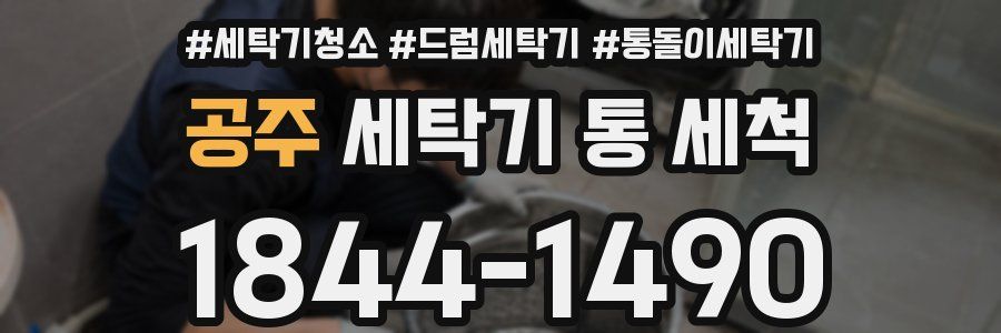공주 세탁기 통 세척