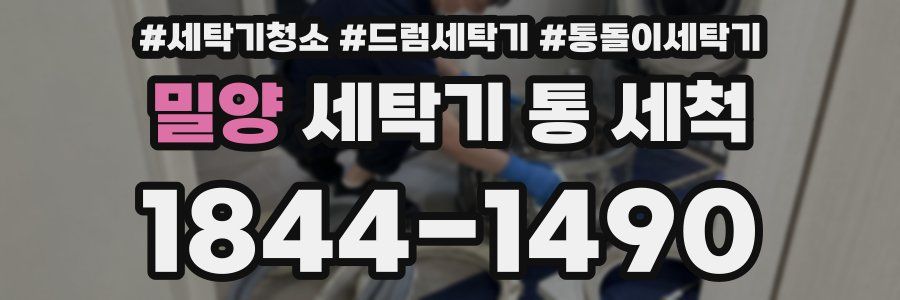 밀양 세탁기 통 세척